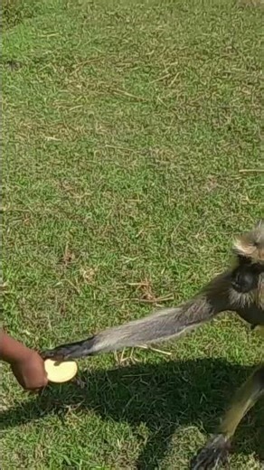 Fast Mini Vlog ✨...