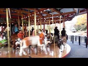 National Zoo Carousel unveiling