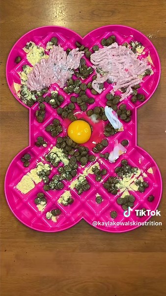 Improve Your Dog's Diet for Better Health