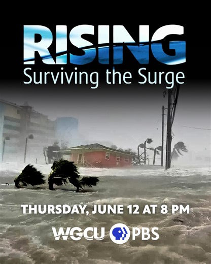 When Hurricane Ian hit, Kaye DeHays kept the camera rolling. She captured dramatic footage from her home and shared how Ian compares to every major storm to strike Southwest Florida since 1960. Rising: Surviving the Surge dives into Hurricane Ian’s aftermath—raw stories, rare footage, and a warning we can’t ignore. The next storm is coming. Are we ready? Airing Thursday, June 12 at 8 p.m. on WGCU PBS #WGCU #WGCUNews #SWFL #Florida #HurricaneIan #StormSurge #FloridaStorms #DisasterPreparedness #G