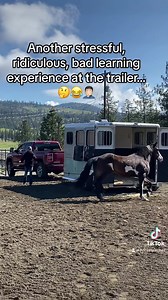 316K views · 5.9K reactions | Another great job giving their horse a loading ‘lesson’. Great team! Hopefully you find some motivation in this, as just a day earlier she was frustrated, confused and without an understandable answer. HorseTeacherU.com | Steve Rother Horsemanship - The School of Horse | Facebook