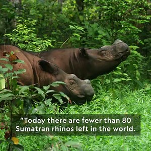 1.1K views · 58 reactions | National Geographic Fellow and biologist...