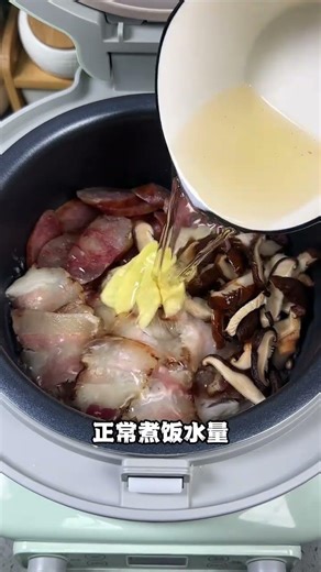 Rice Cooker: Easy Homemade Cured Meat in One Pot