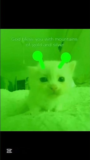 Alien cat sings Chinese sing meme #funny #cats