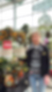 Hol Dir dein #Kumquat Vitamin-Power-Bäumchen bei uns. Jetzt noch mit 10% Jubiläumsrabatt. | Schmitt-Steul Gartencenter GmbH & Co. KG