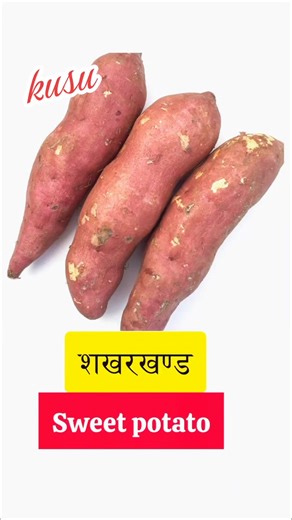 Exploring the Magic of Kusu in Nepal