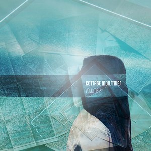 Various - Cottage Industries 6