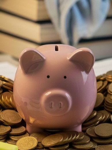 Creating a Budget with Google Search