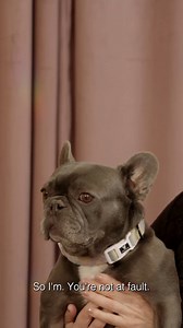 9.3K views · 116 reactions | Coming up in just under an hour, an all-new episode of #ChristinaOnTheCoast explores, in part, the inner dialogue of Cash, a Very Good Boy who means a lot to the Hall fam 殺 Tune in at 9|8c! | HGTV | Facebook