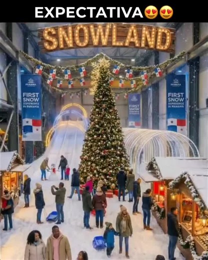 Desilusión con Snowland: Lo que no se ofreció en el comercial