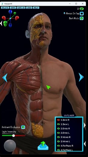 Anatomy Reference Tool for Sculptors #blender #zbrush #3dsculpting