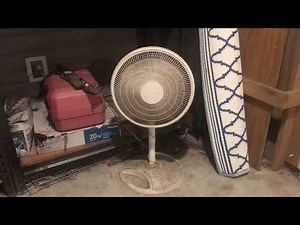 16” Galaxy Oscillating Pedestal Fan