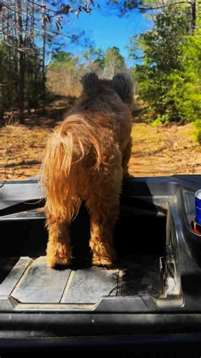 Slow pokin’ down a blacktop, cutting tires on the white rock There’s a party on a dead end road We’re just hoping that the cops don’t show Somebody is looking for a fight It’s gonna be that kind of night When I get too far from home I go find me a back road | Brandon Rhyder