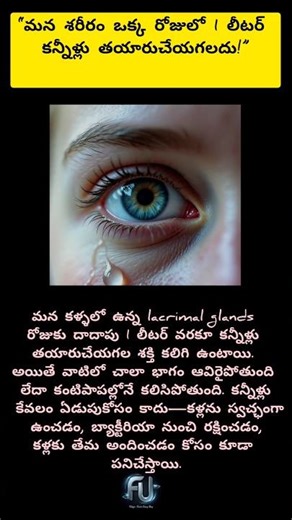 #TearsFacts #HumanBodyFacts #TeluguFacts #FactUniverseTelugu #AmazingFactsTelugu #MindBlowingFacts