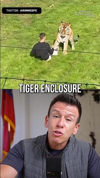 Tiger Mauls Visitor to UK Park After he JUMPS Into the Enclosure