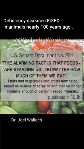 2.7K views · 64 reactions | It has long been known that soil...