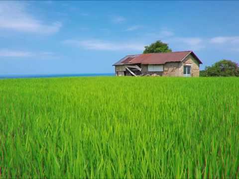 【夏の風景】風景写真家・佐藤尚 47都道府県を巡る旅