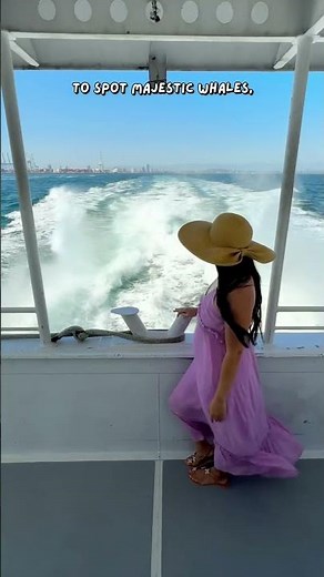 Best Whale Watching in Long Beach, California 🐋