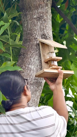 1.6K views · 36 reactions | Placing a simple DIY bird feeder on the tree. I hope this natural spot can attract wild finches to come and enjoy the seeds. Small moments like this always feel peaceful to watch. #FinchJogja #BirdFeeder #WildFinch #BackyardBirding #HighCPMVideo | Indra Prihantoro | Facebook