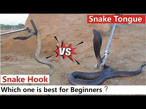 Snake Handling Tool | Snake Tongue Vs Snake Hook| Which tool is Best for Beginners
