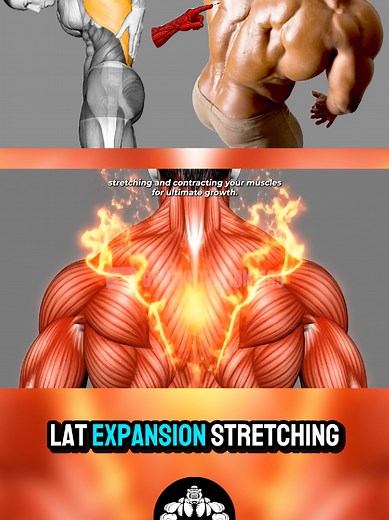 9 Effective Exercises for Developing Wide Lats