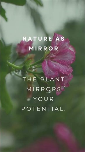 Nature as Mirror The plant mirrors your potential