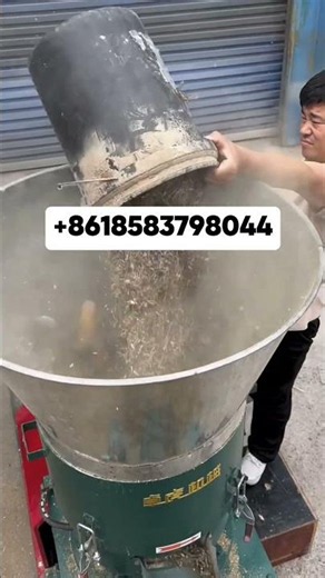 Máquina Automática de Pellets para Alimento Animal – Producción Eficiente para Ganado y Peces