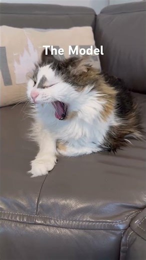 I have the best live model for my gouache painting