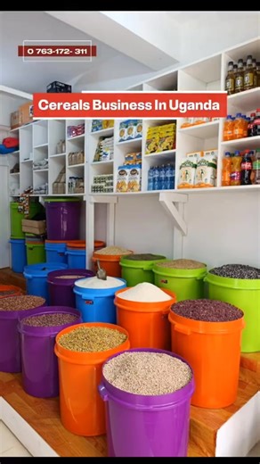 Profitable Cereals Business in Uganda: Start Your Own