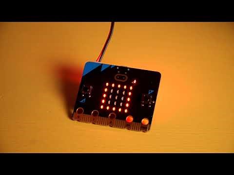 Mimic - the micro:bit parrot