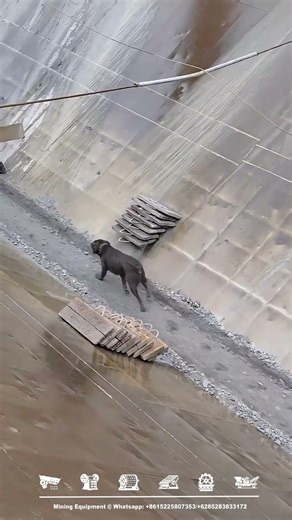 📊 Europe Sand & Gravel (Aggregates) Price Trends — Jan 2025 to Jan 31 2026From early 2025 through th