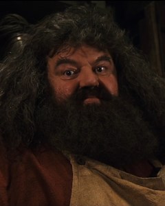 585K views · 15K reactions | He's Keeper of Keys, not Keeper of Secrets  | Harry Potter | Facebook