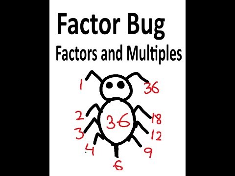 Factor Bug Method (Rainbow & Butterfly) | Grade 3 & 4 Math Homework Help | Factors and Multiples