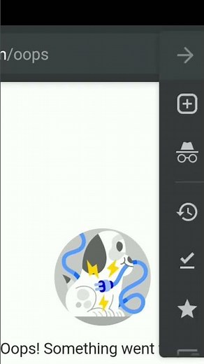 Oops Something Went Wrong