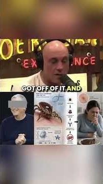 Ticks Giving Humans SYNDROMES!