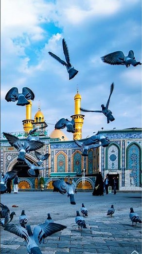 Baba Janum Ali Noha 2025 | Emotional Noha | New Noha 2025 #lifeisbutadream