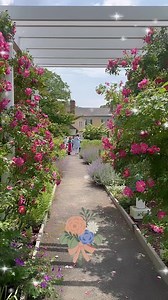 Lovely day for our Garden Luncheon! | Florence Griswold Museum