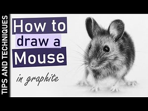 How to draw a Mouse in graphite | Photo realistic pencil drawing