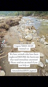 6.3K views · 127 reactions | Can you or someone you know help?...