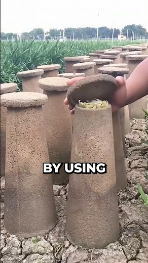 This is the strangest farming technique you’ll ever see