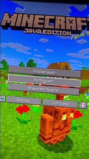 How To Join a Lifesteal SMP Server in Minutes!