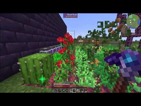 Evolution Ep42 Create and Talismans