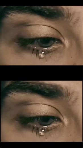 Novel reader (@novel...readers)’s videos with original sound - Novel reader