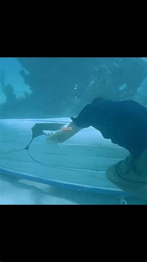 156K views · 2.8K reactions | #leyendamarvel #cine #zombiechallenge #SerieMundial #movieclips #Entretenimiento #movie #Resumen #EntretenimientoTotal | Películas Resumidas TV | Facebook