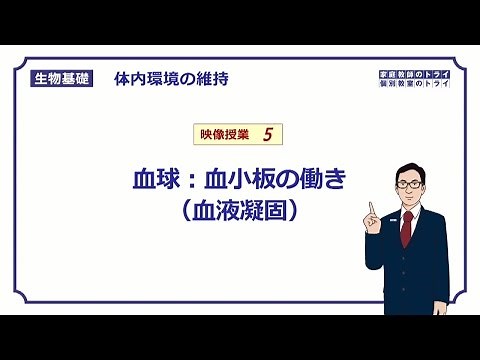 [Basic Biology] Maintaining the Internal Environment 5: Blood Cells: Function of Platelets (Blood...