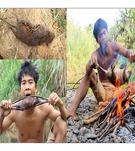 Find food MOUSE | Street Chef