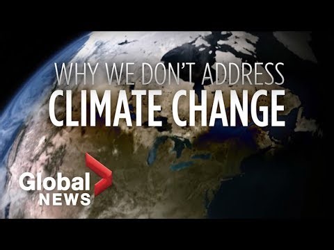 Fish stocks not being properly monitored by federal government: audit