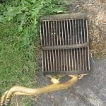 Car Overheating And No Heat From Heater