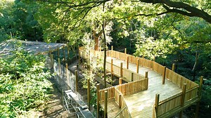 20K views · 432 reactions | Lynx to the wild  We’re thrilled to...