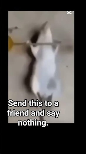 🔥🔥💯💯 #foryou #mickeymouse #funny #memes